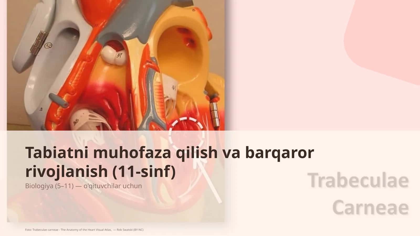 Tabiatni muhofaza qilish va barqaror rivojlanish (11-sinf) 1