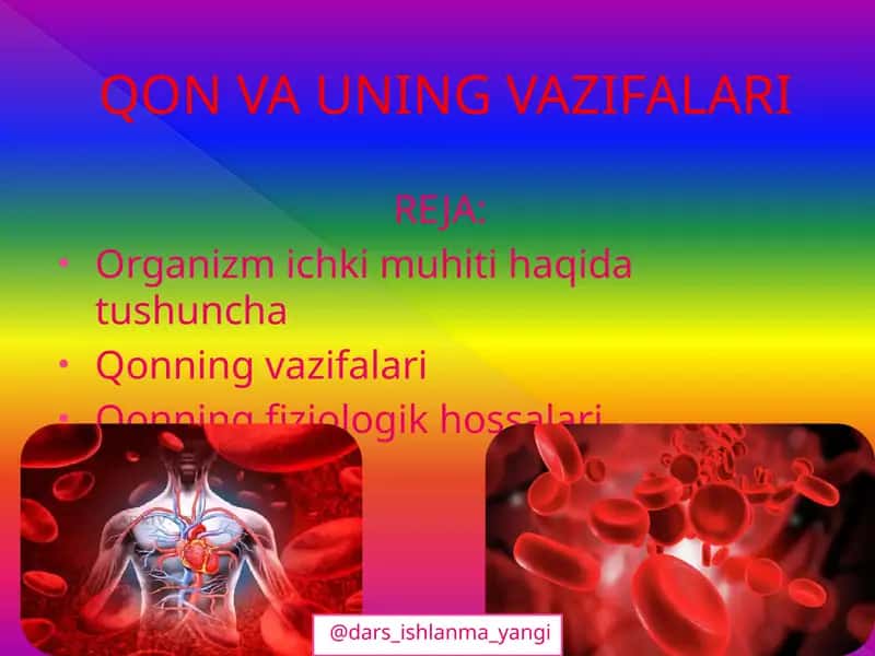 Qon va uning vazifalari 1