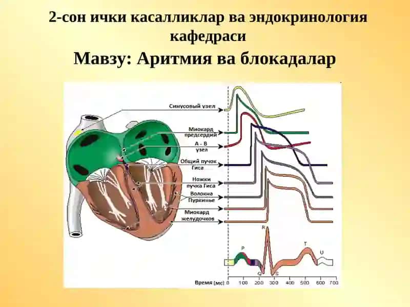 Аритмия ва блокадалар