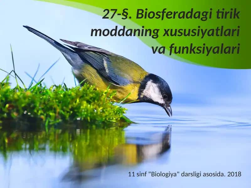 Biosferadagi tirik moddaning xususiyatlari va funksiyalari 1