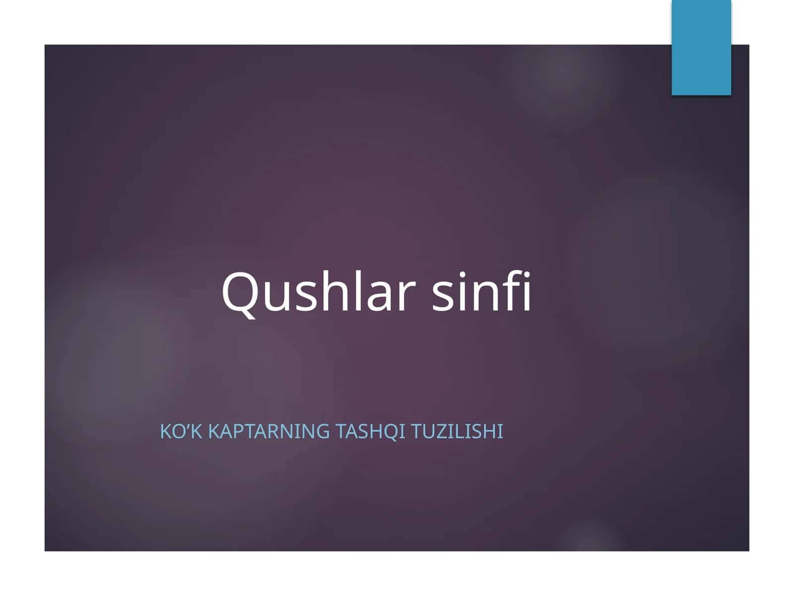 Qushlarsinfi 1