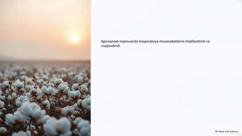 Agrosanoatda kooperatsiya munosabatlari 1