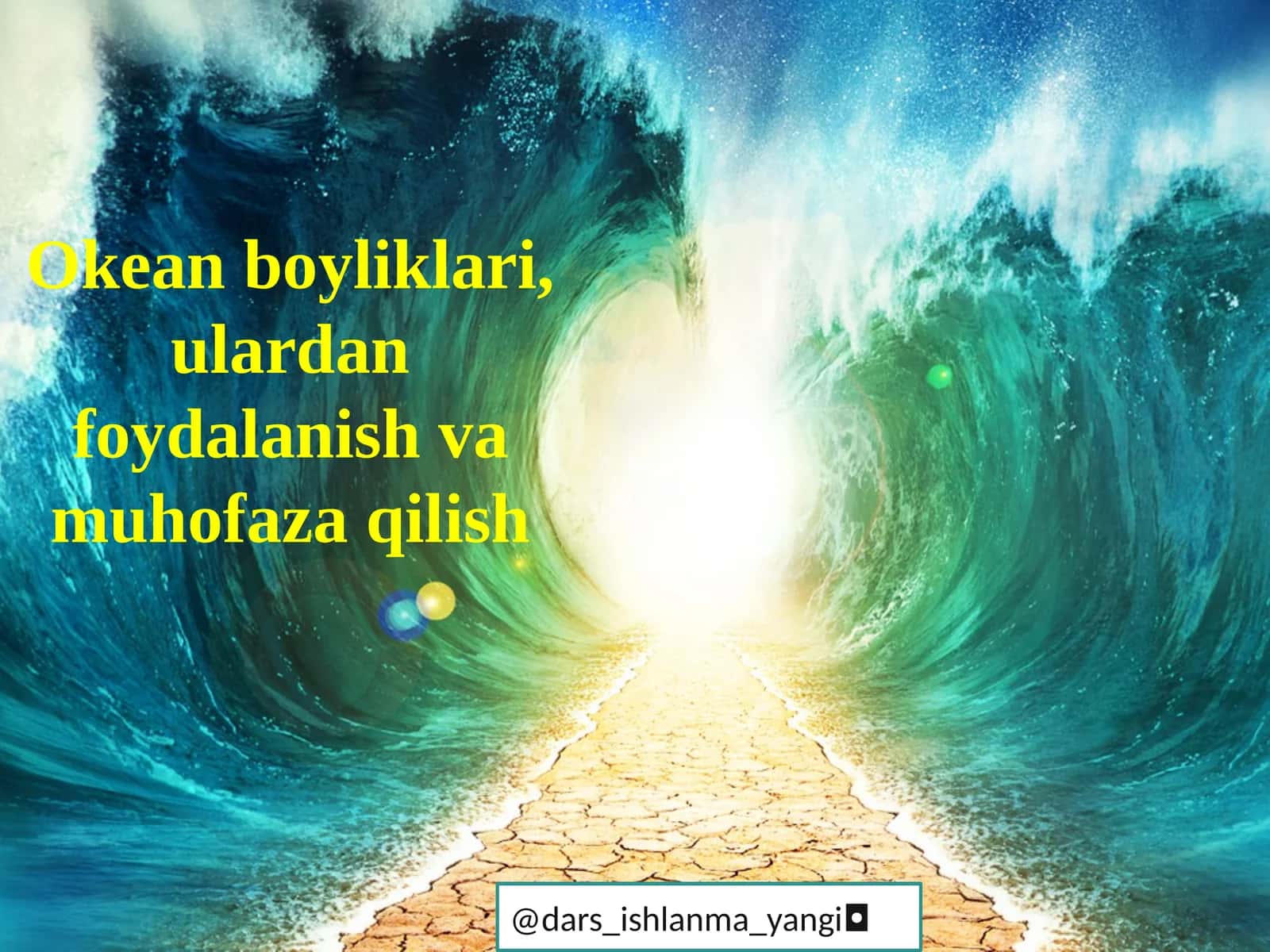 Okean  boyliklari,  ulardan  foydalanish  va  muhofaza  qilish 1