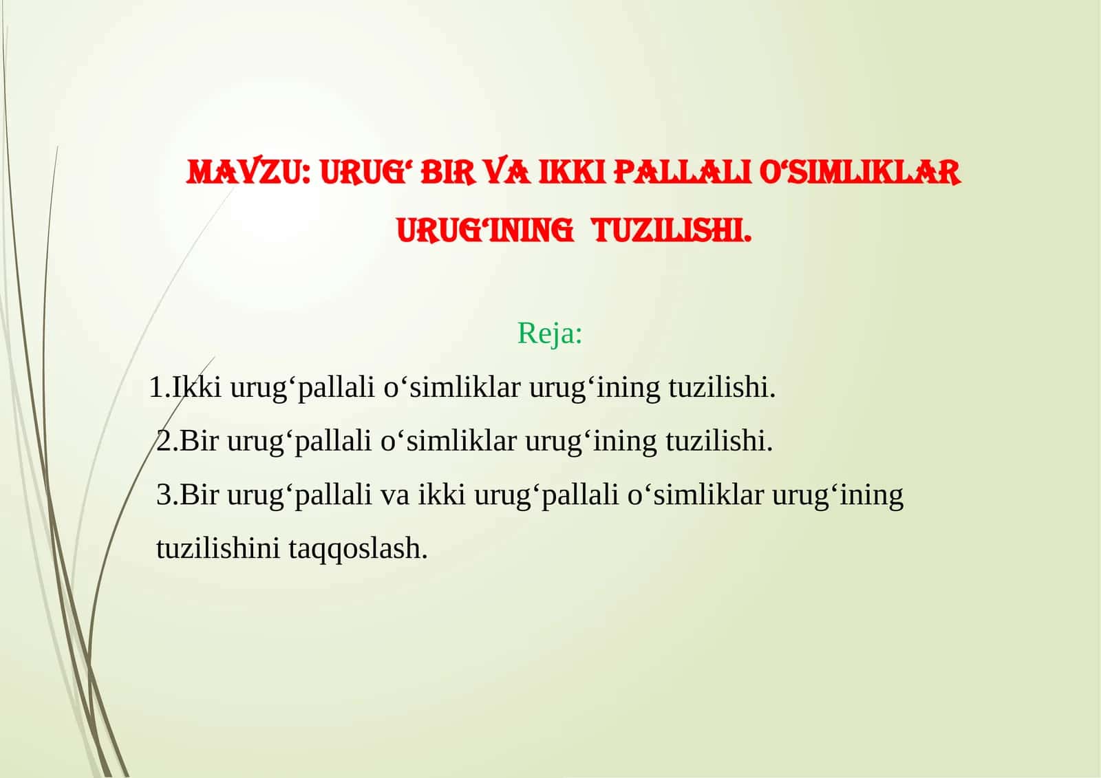 Urug‘ birvaikki pallali o‘simliklarurug‘iningtuzilishi 1