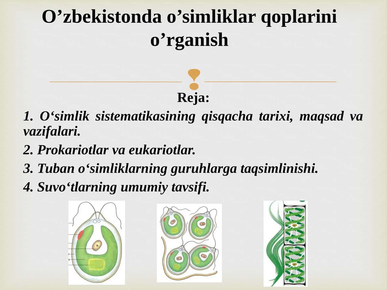 O’zbekistonda o’simliklar qoplarini o’rganish 1