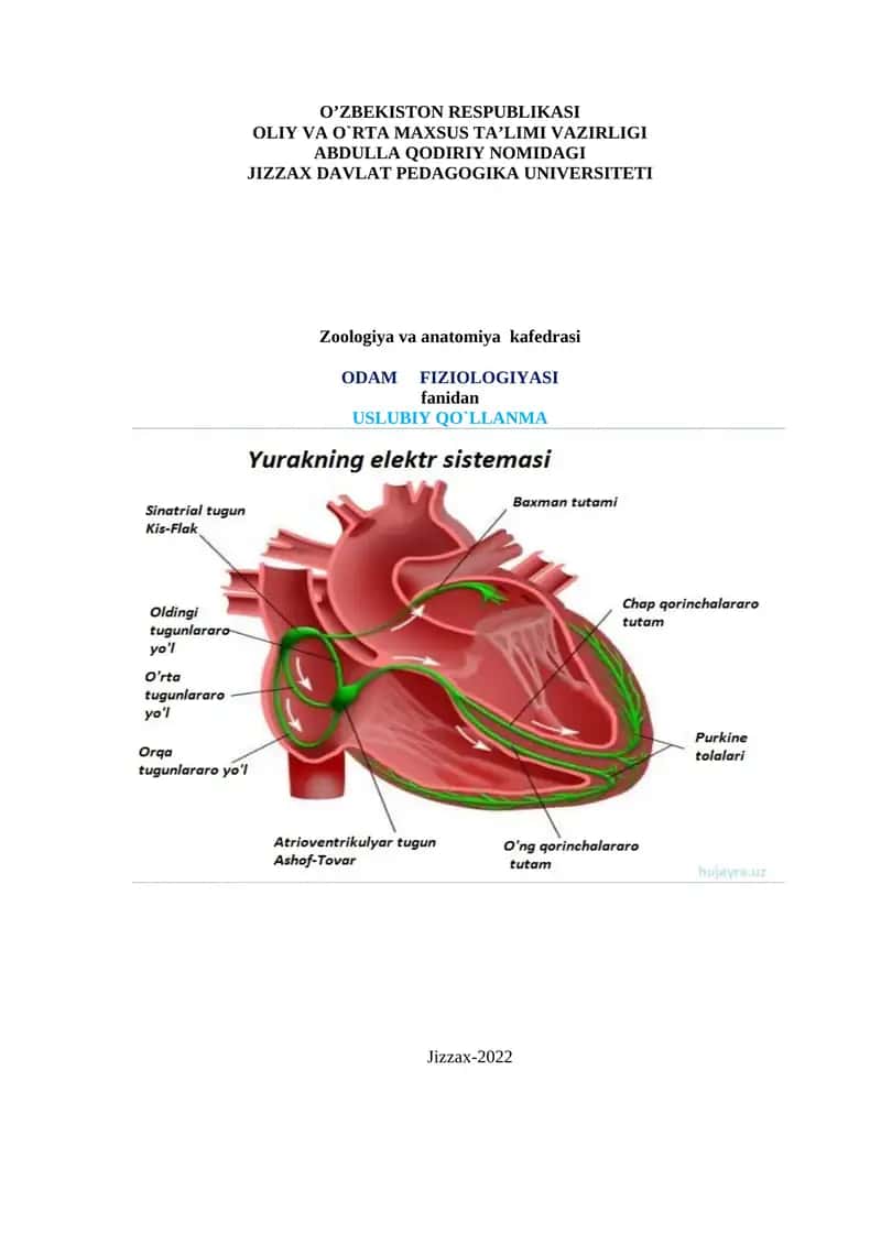 ODAM FIZIOLOGIYASI 1