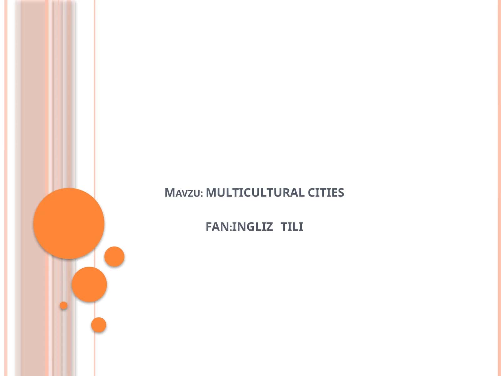 MULTICULTURAL CITIES 1