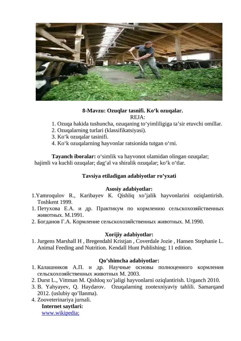 Ko‘k ozuqalar tasinifi 1