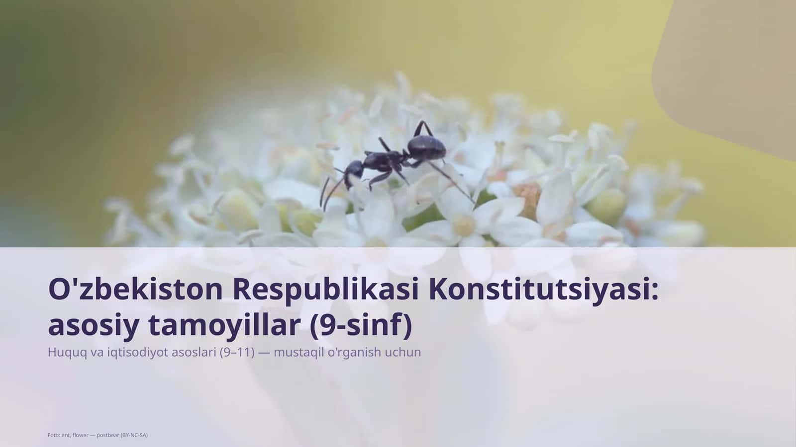 O'zbekiston Respublikasi Konstitutsiyasi: asosiy tamoyillar (9-sinf) 1