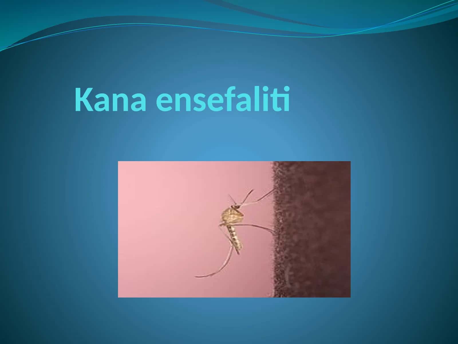 Kanaensefaliti 1