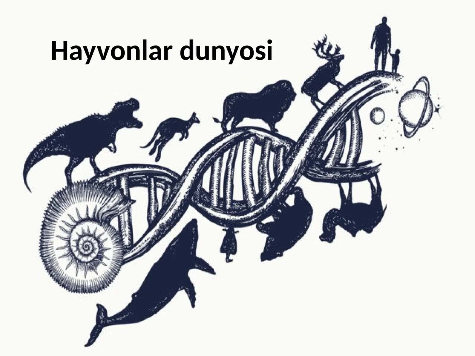 Hayvonlar dunyosi 1