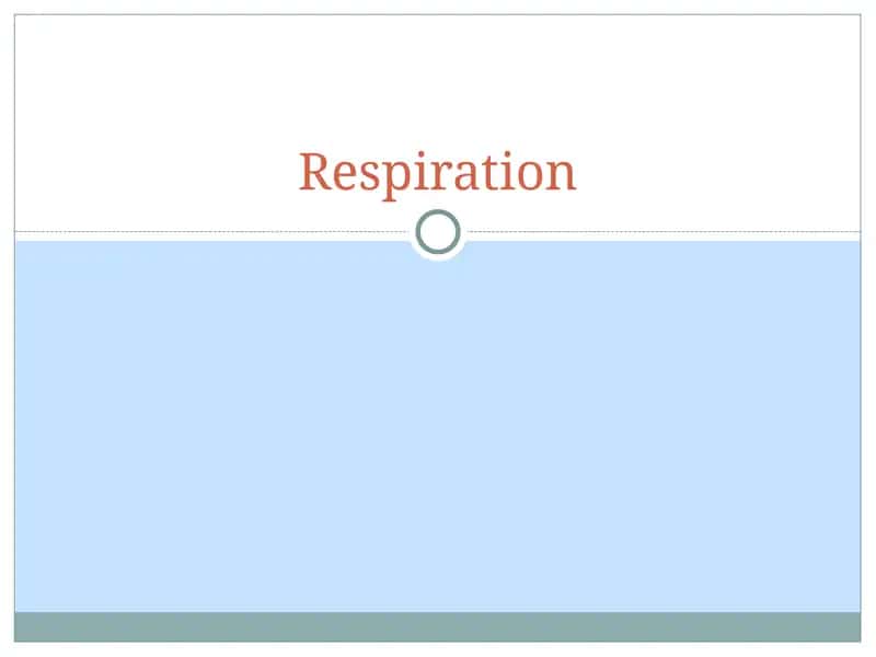 Respiration 1