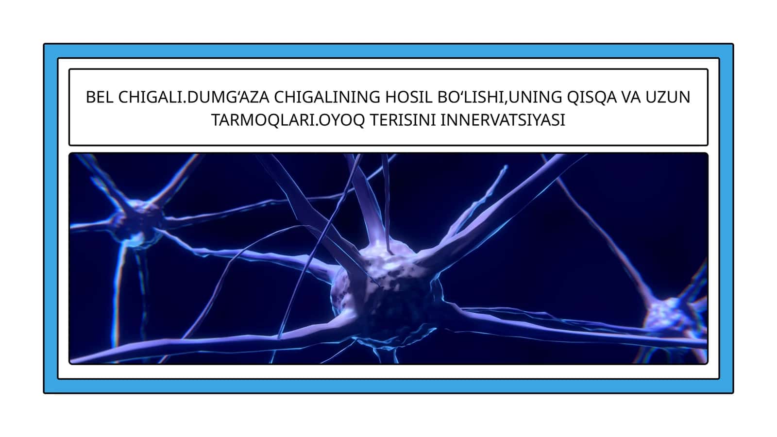 BEL CHIGALI.DUMG‘AZA CHIGALINING HOSIL BO‘LISHI,UNING QISQA VA UZUN TARMOQLARI.OYOQ TERISINI INNERVATSIYASI 1
