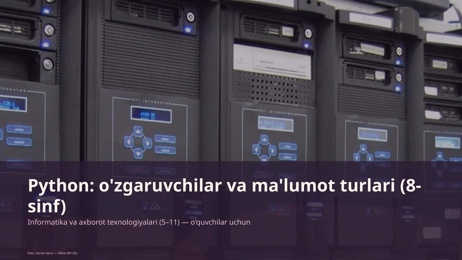 Python: o'zgaruvchilar va ma'lumot turlari (8-sinf) 1