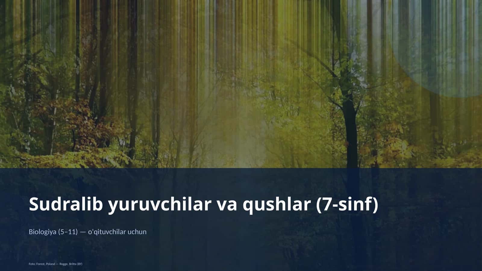 Sudralib yuruvchilar va qushlar (7-sinf) 1