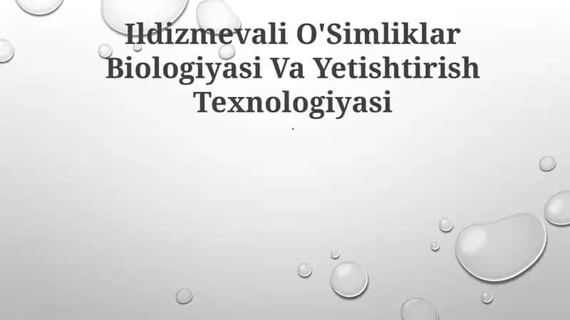 Ildizmevali O'Simliklar Biologiyasi Va Yetishtirish Texnologiyasi 1