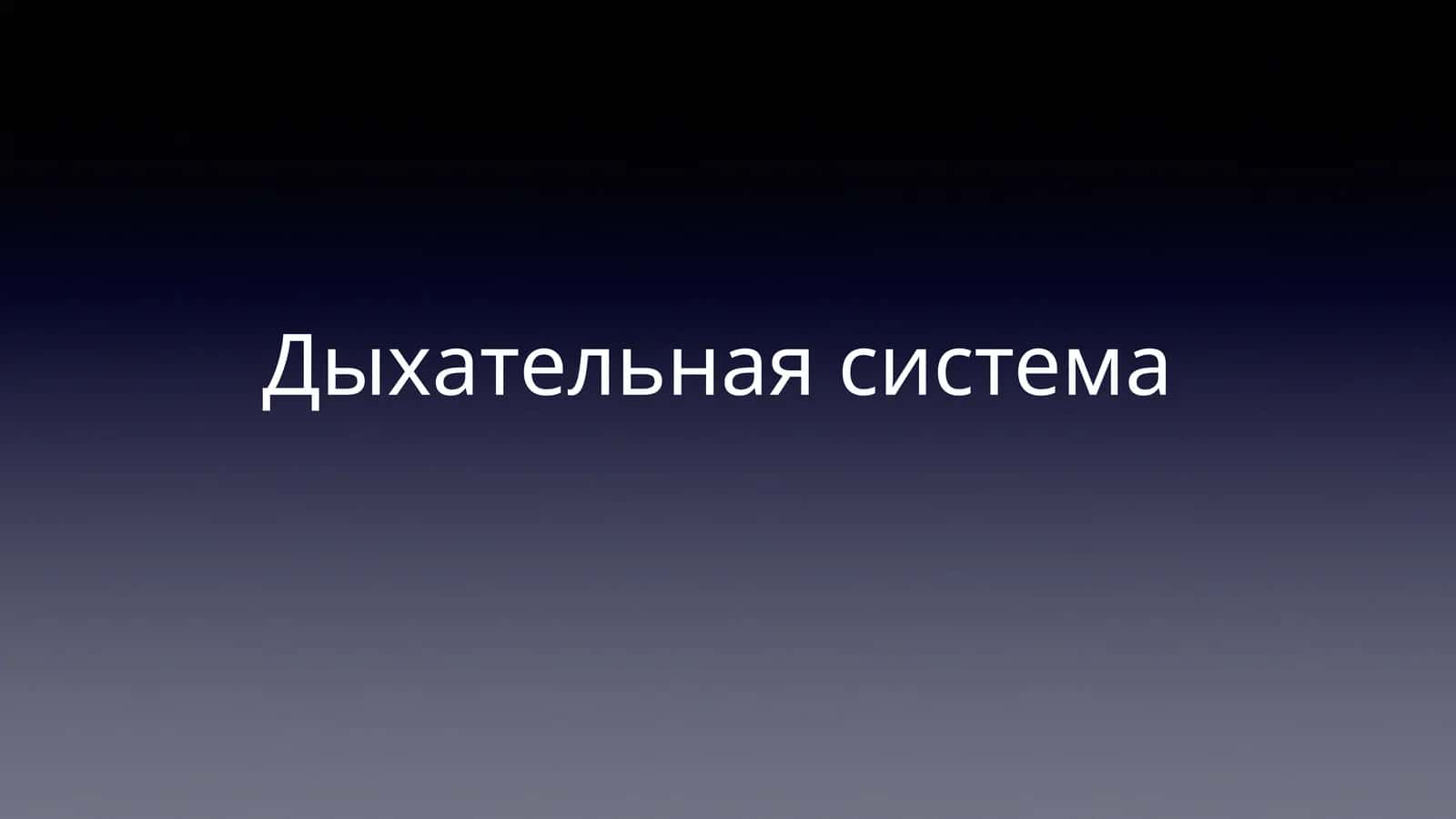 Дыхательная система 1