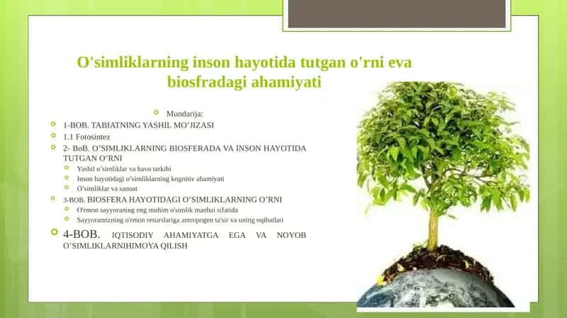 O'simliklarning inson hayotida tutgan o'rni eva biosfradagi ahamiyati. 1