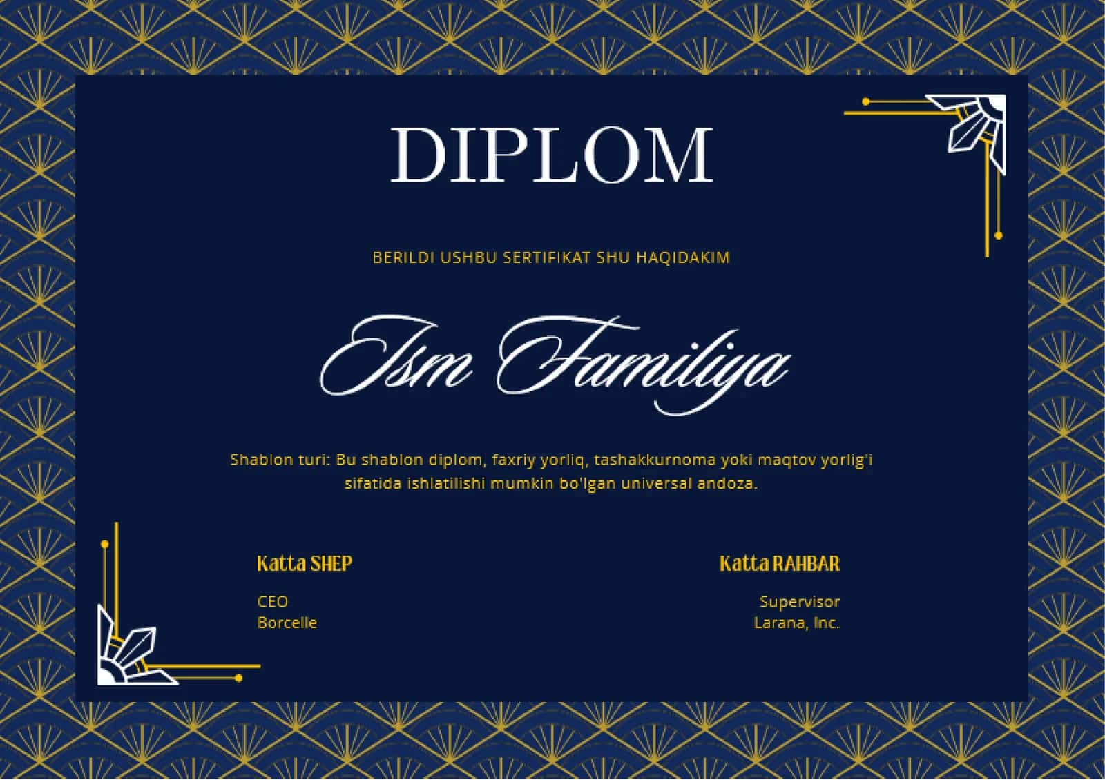 DIPLOM 1
