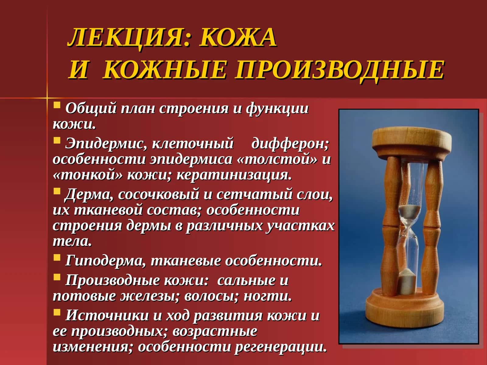 Кожаи кожные производные 1