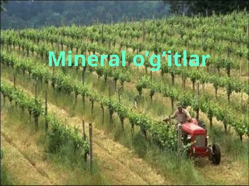 Mineral o’g’itlar 1