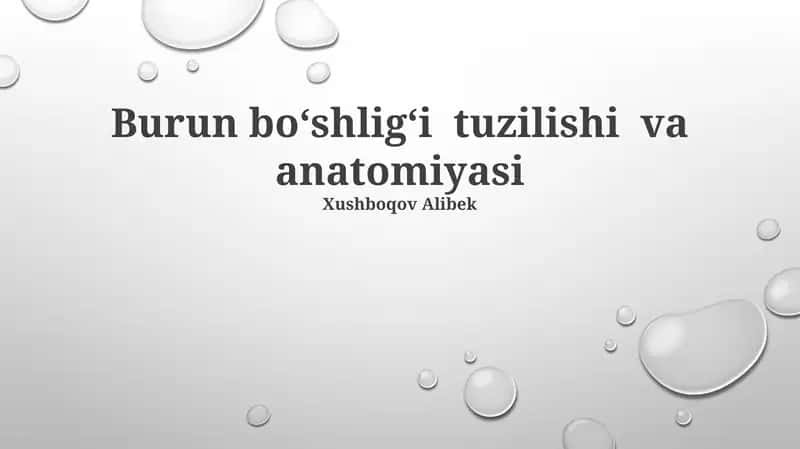 Burun boʻshligʻi tuzilishi va anatomiyasi 1