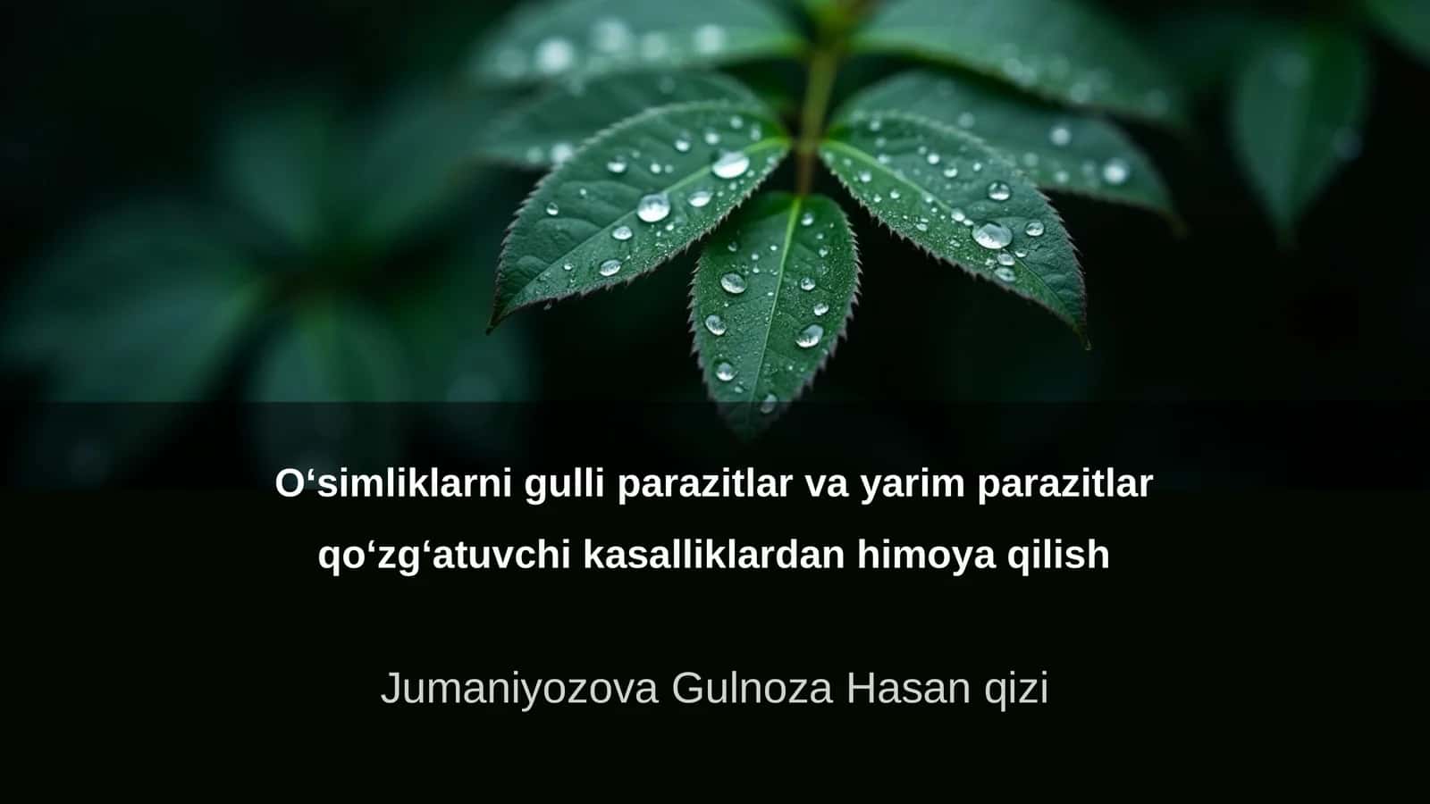 O‘simliklarni gulli parazitlar va yarim parazitlar qo‘zg‘atuvchi kasalliklardan himoya qilish 1