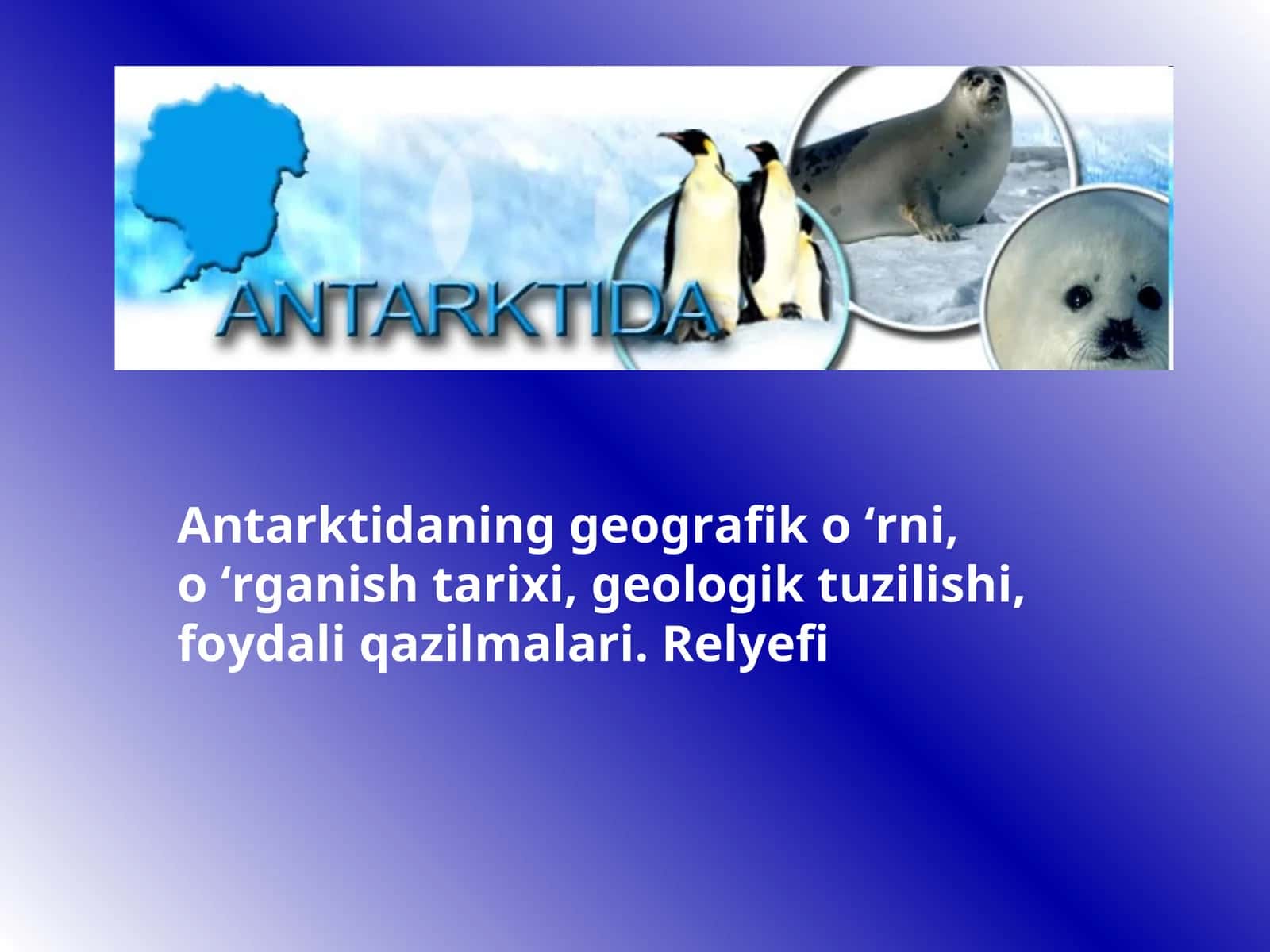 Antarktida 1