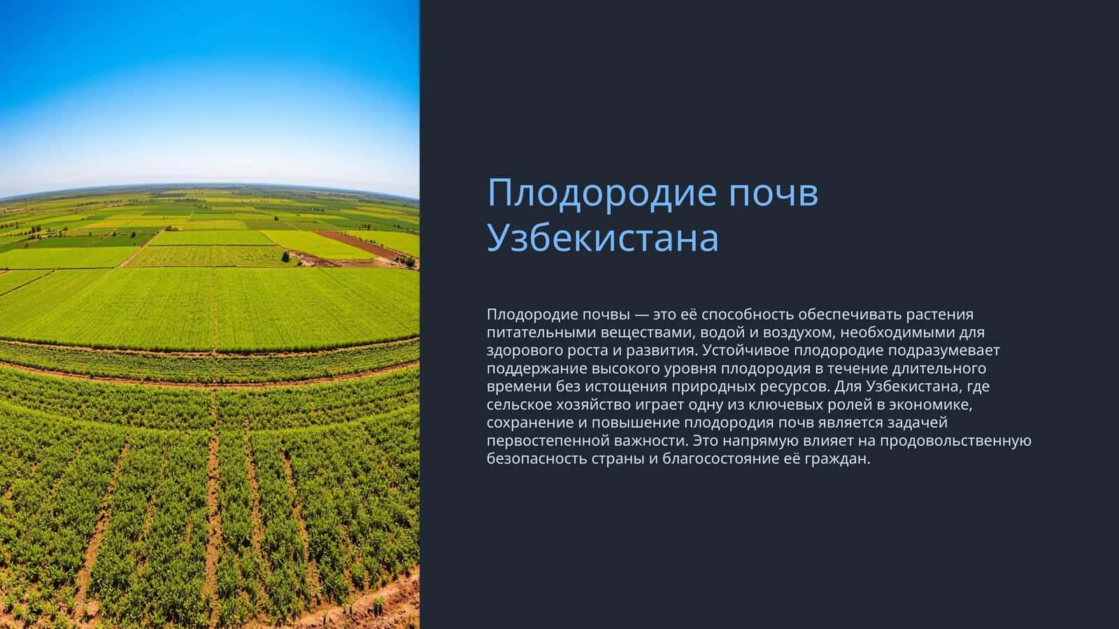 Плодородие почв Узбекистана 1