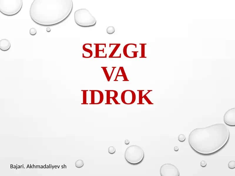 Sezgi 1