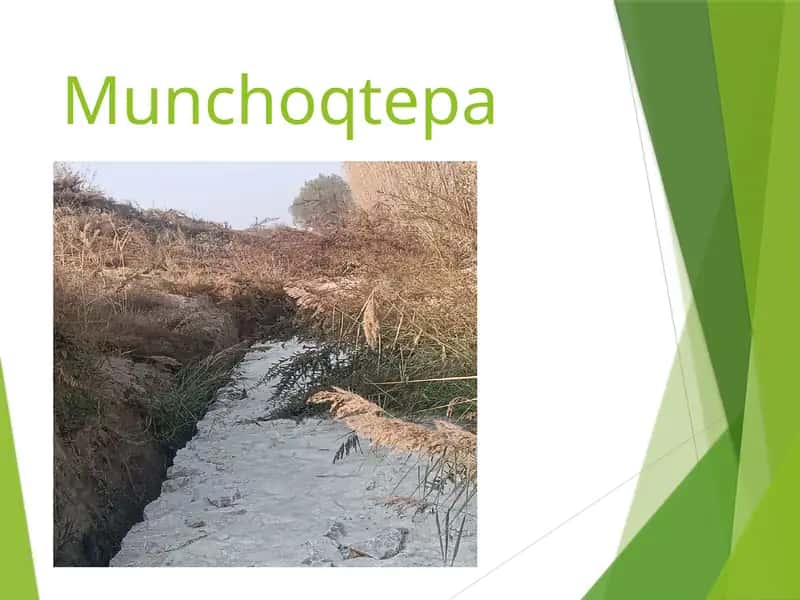 Munchoqtepa 1