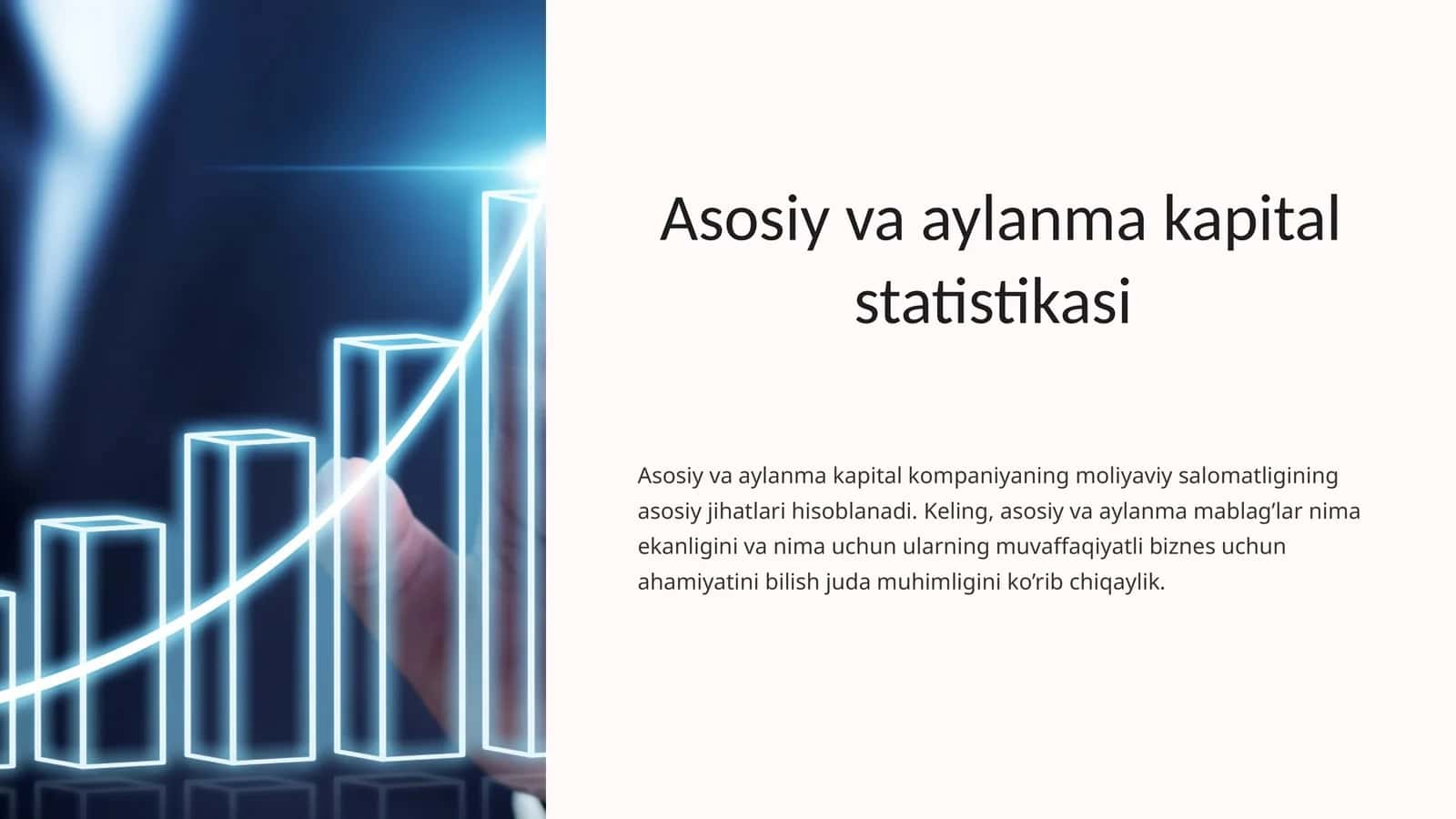 Asosiy va aylanma kapital statistikasi 1