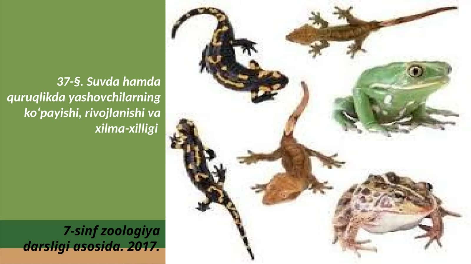7-sinf Zoologiya 'Suvda hamda quruqlikda yashovchilarning ko'payishi, rivojlanishi va xilma-xilligi' ko'rgazma 1