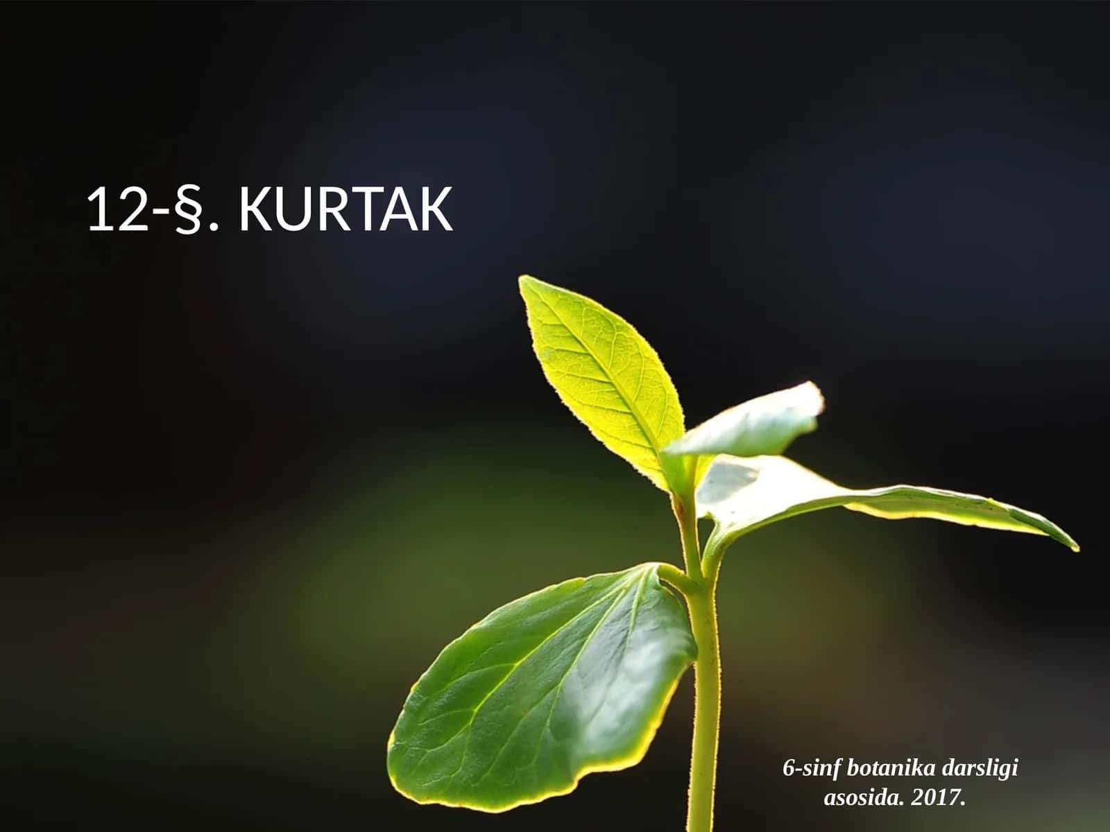 6-sinf Botanika Kurtak 1