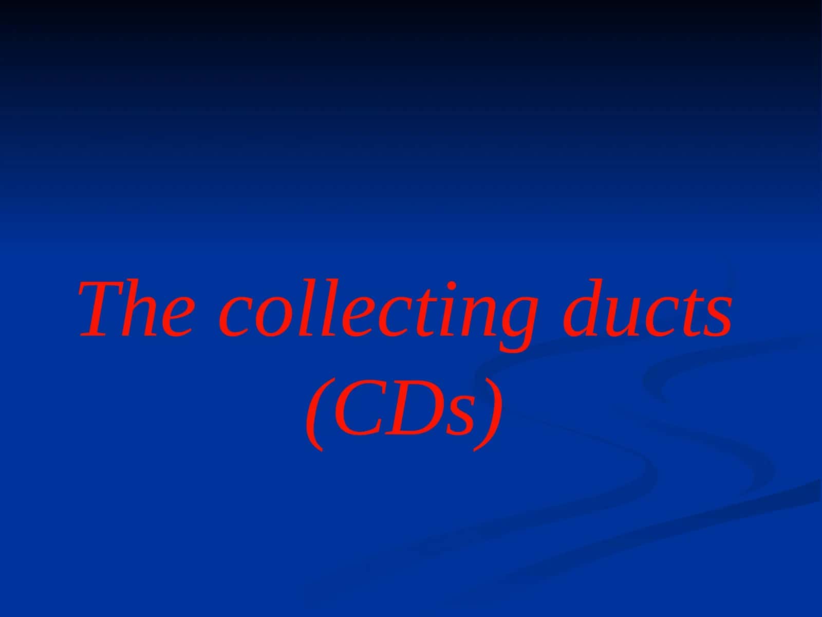 Collecting Ducts (CDs) 1