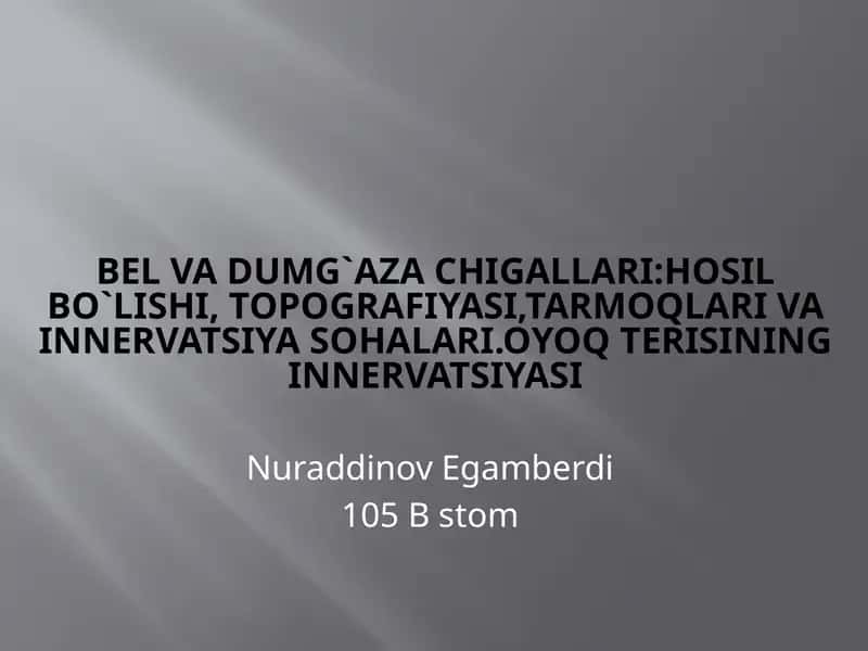 Belvadumg`azachigallari:hosilbo`lishi,topografiyasi,tarmoqlarivainnervatsiyasohalari.Oyoqterisininginnervatsiyasi 1