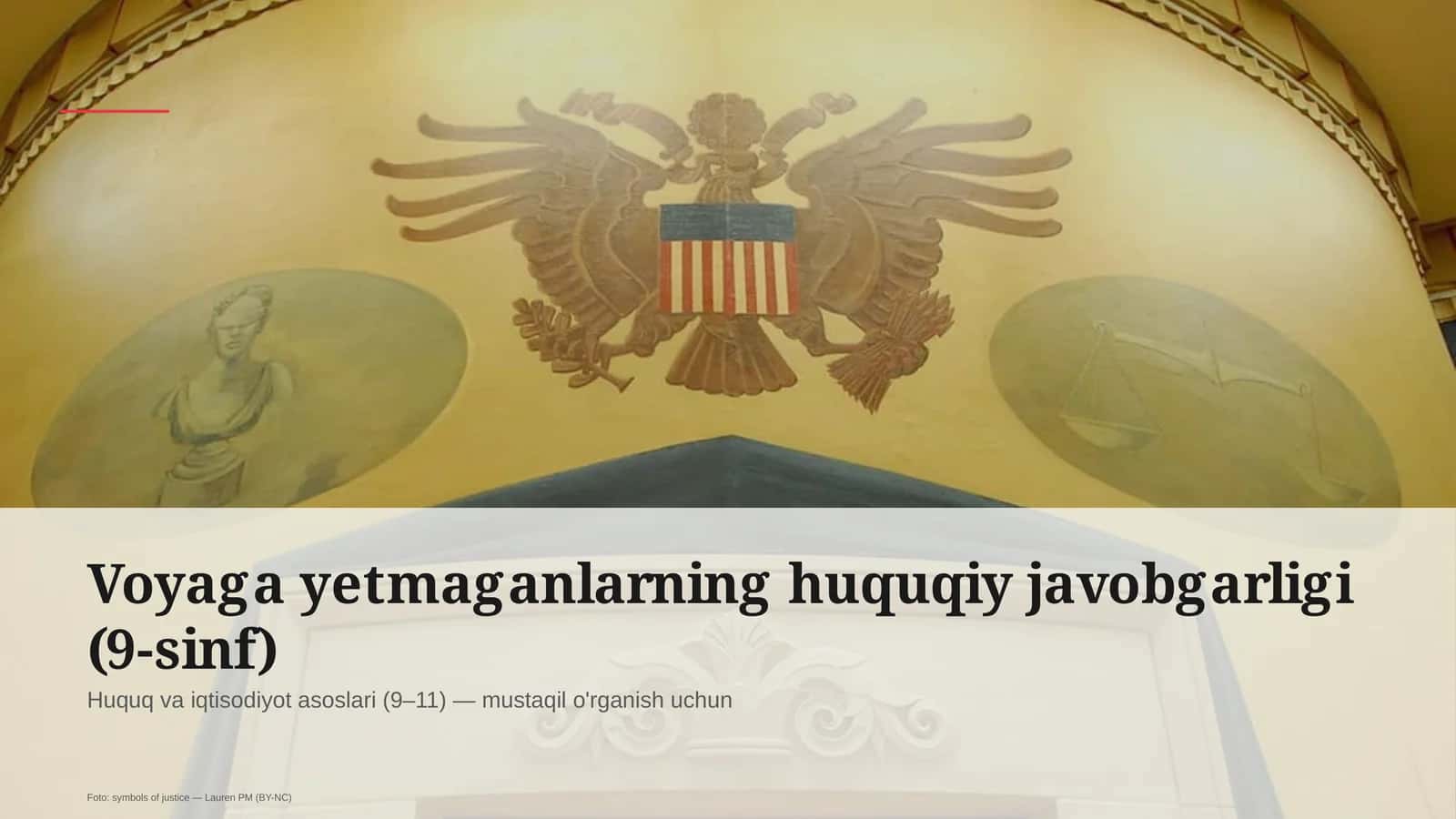 Voyaga yetmaganlarning huquqiy javobgarligi (9-sinf) 1