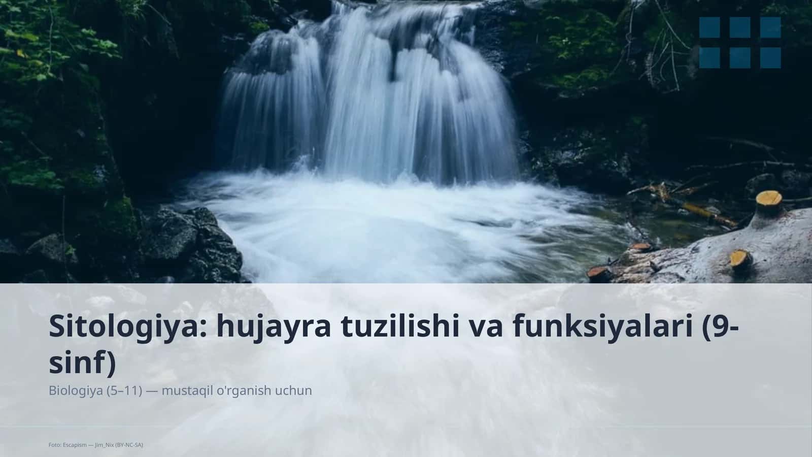 Sitologiya: hujayra tuzilishi va funksiyalari (9-sinf) 1