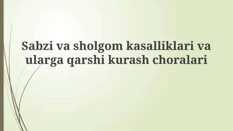 Sabzavot va turnip kasalliklarining umumiy ko'rinishi 1