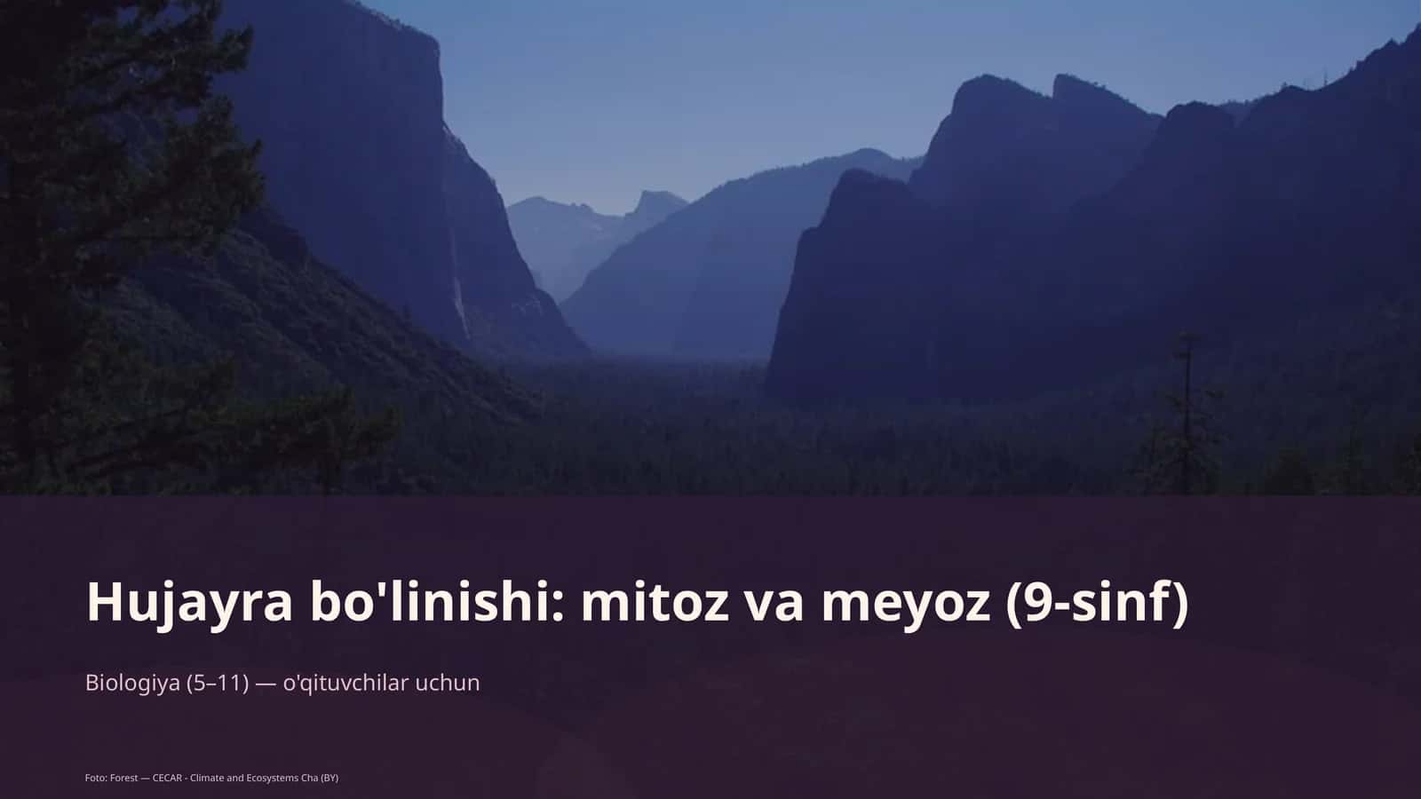 Hujayra bo'linishi: mitoz va meyoz (9-sinf) 1