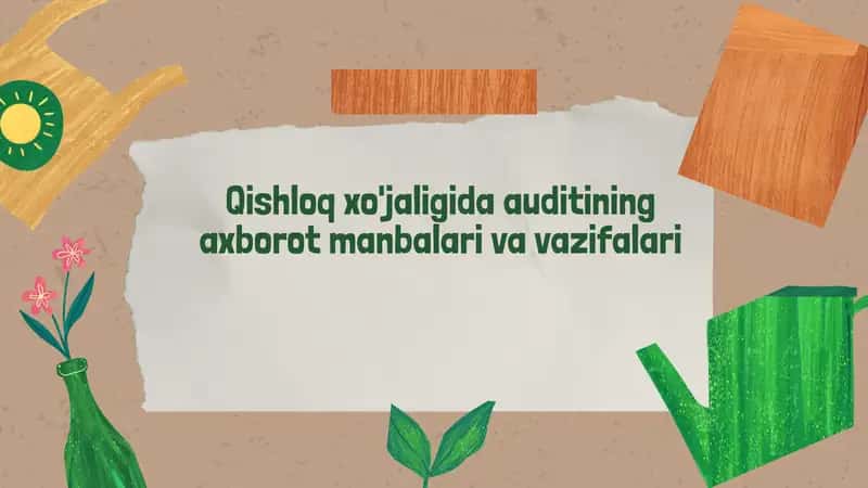 Audit axborot manbalari va ularning manbalari turlari 1