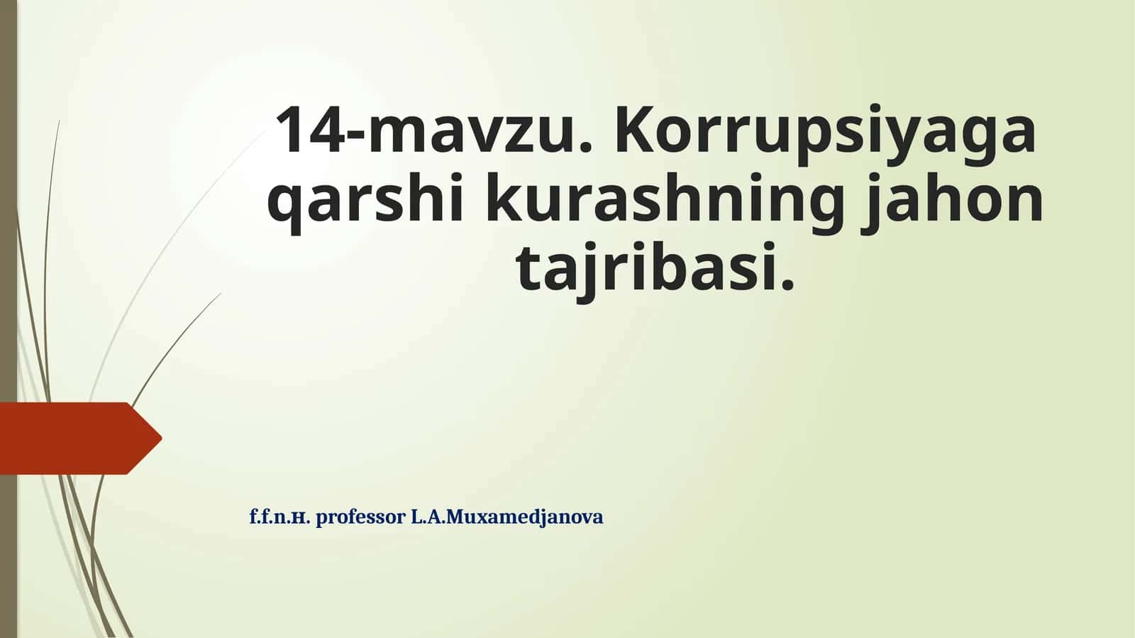 14-mavzu.Korrupsiyagaqarshikurashningjahontajribasi 1