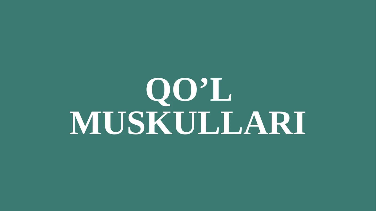 QO’L MUSKULLARI 1