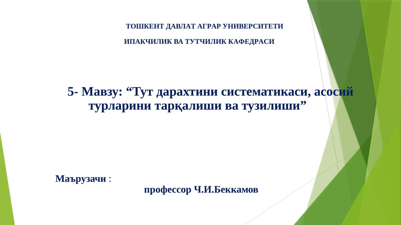 Тут дарахтини систематикаси, асосий турларини тарқалиши ва тузилиши 1