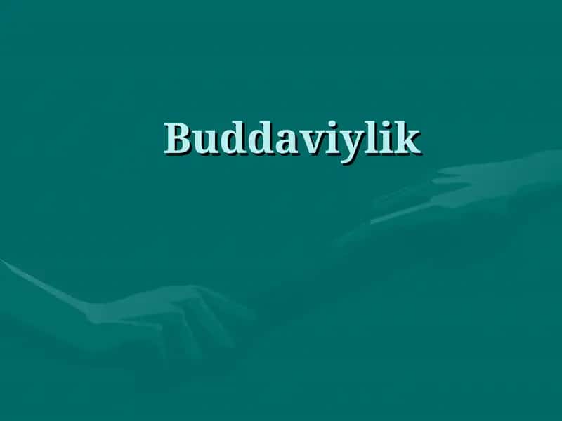 Buddaviylik 1