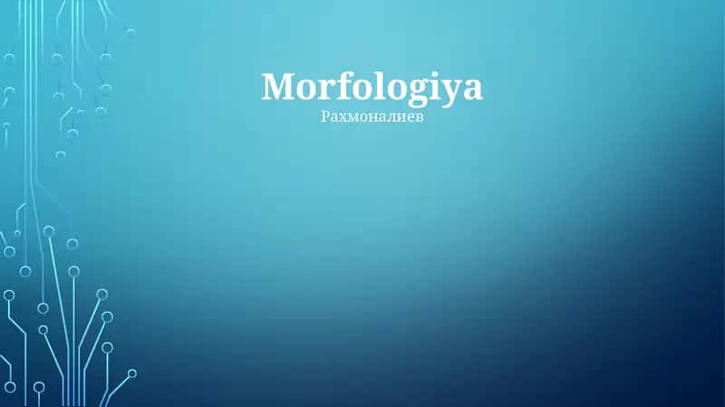 Morfologiya 1