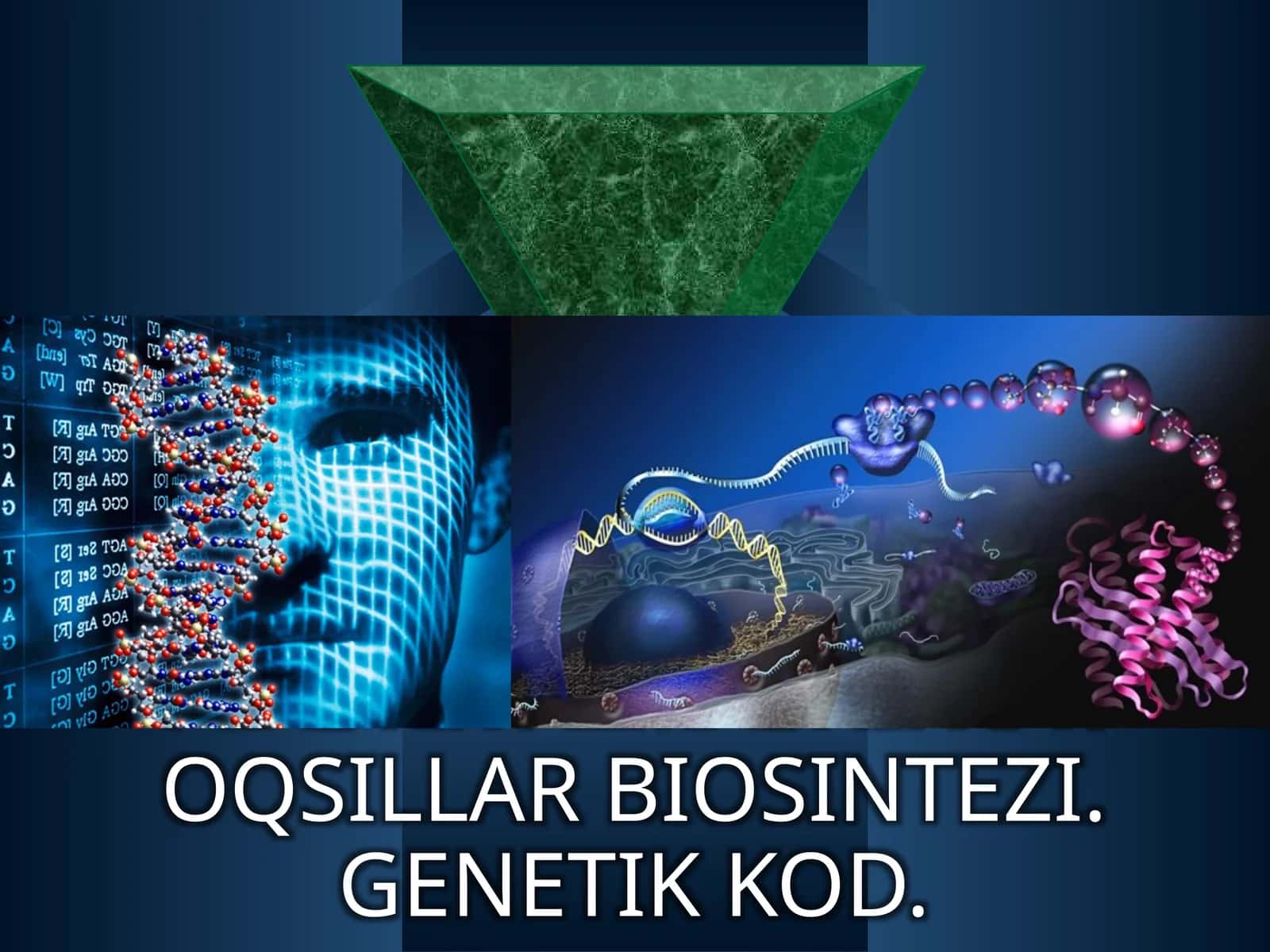 Plastika almashinuvi 1