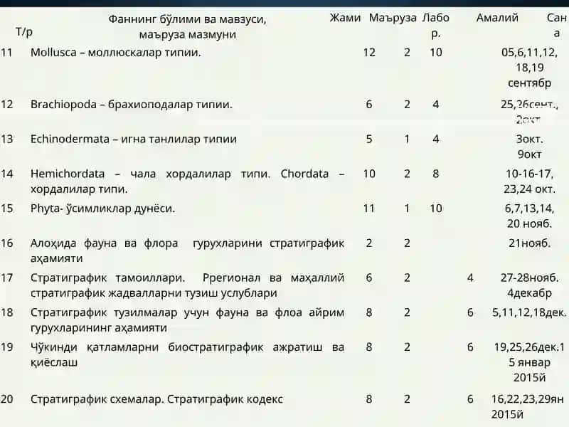 Mollusca – моллюскалар типии