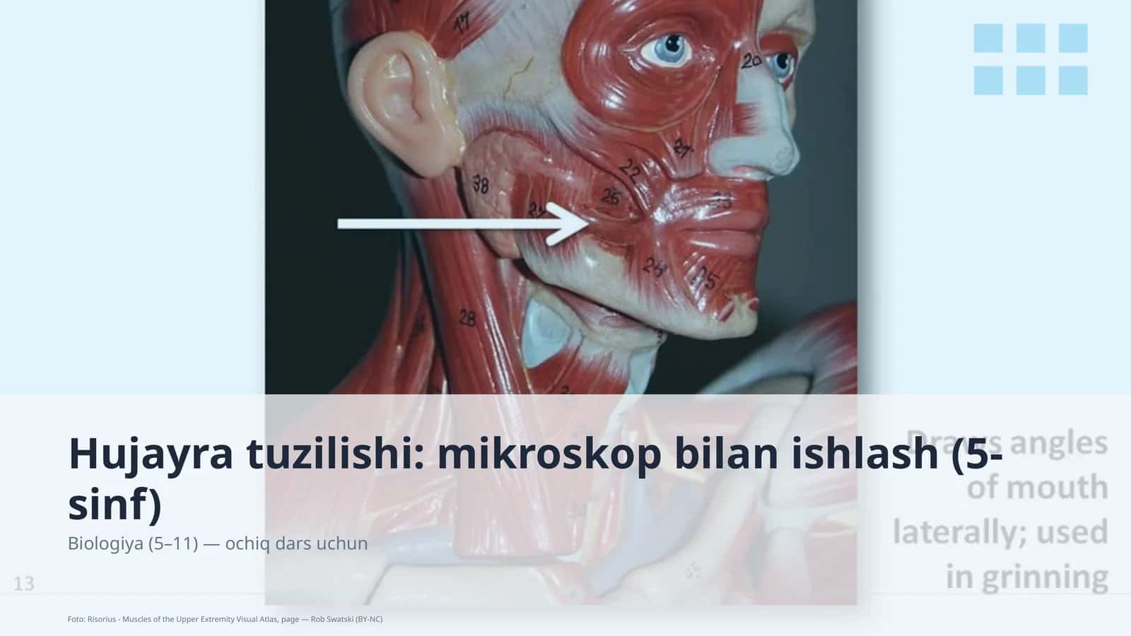 Hujayra tuzilishi: mikroskop bilan ishlash (5-sinf) 1