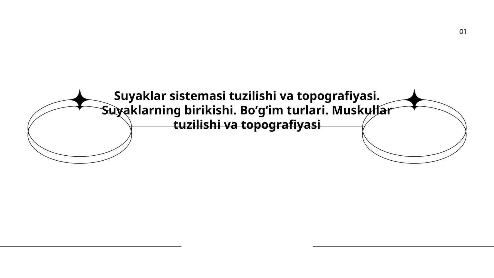 Suyaklar tuzilishi va topografiyasi 1